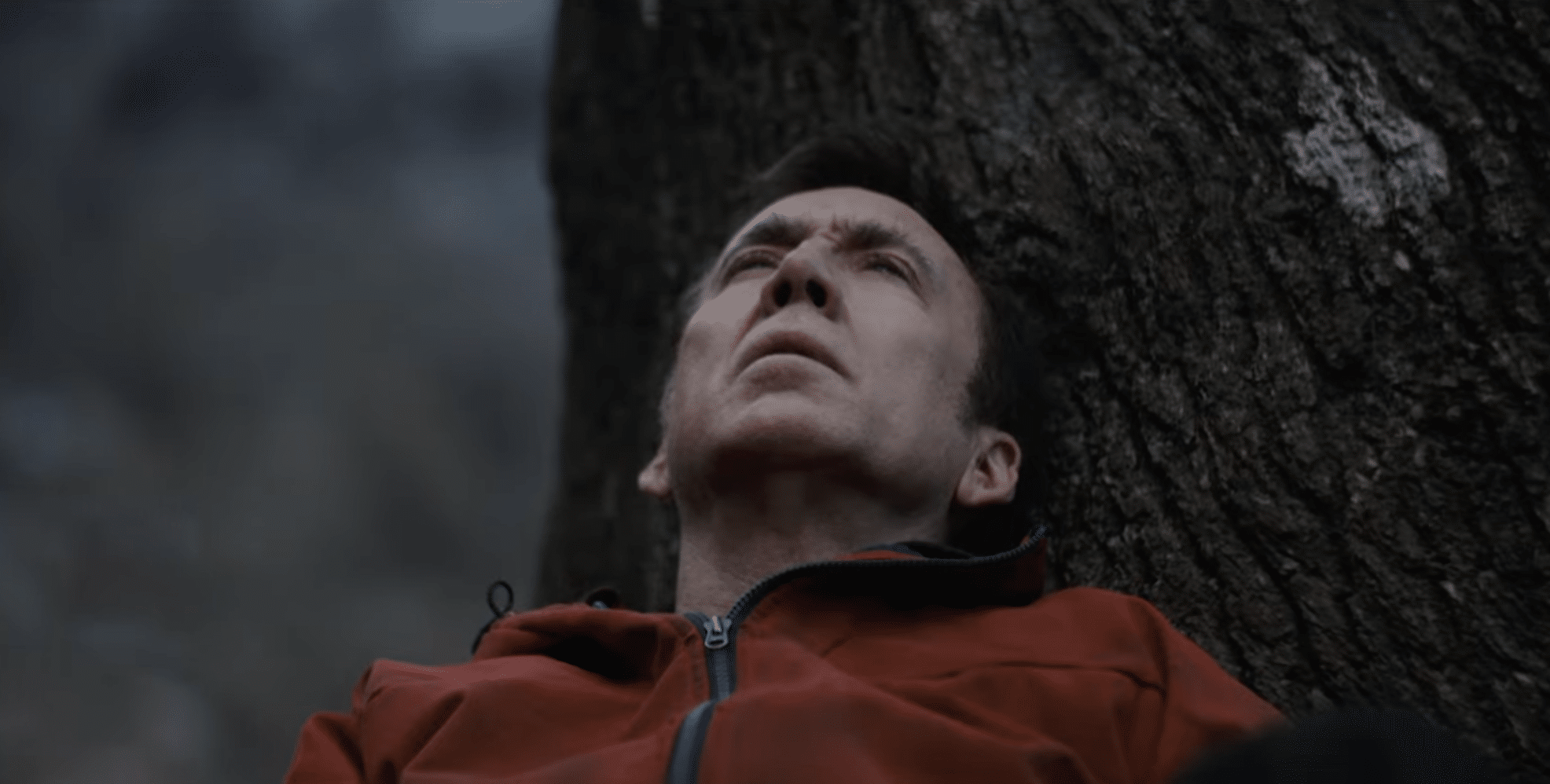 Nicolas Cage battles the apocalypse in trailer for 'Arcadian'