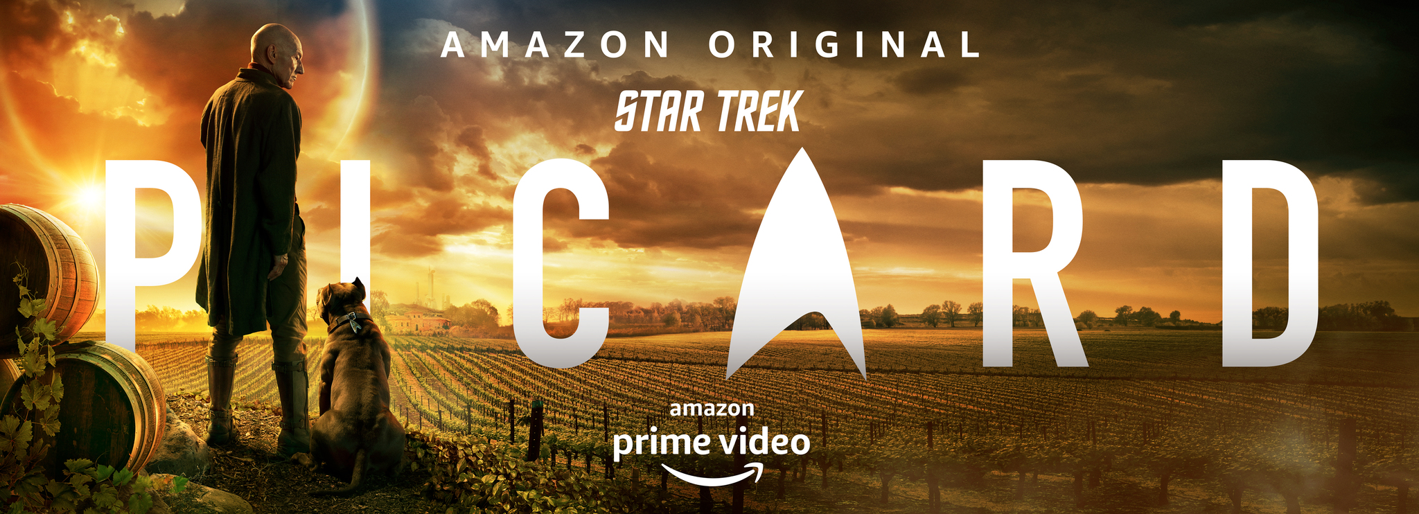 Patrick Stewart To Return As Captain Picard In New 'Star Trek' Series?